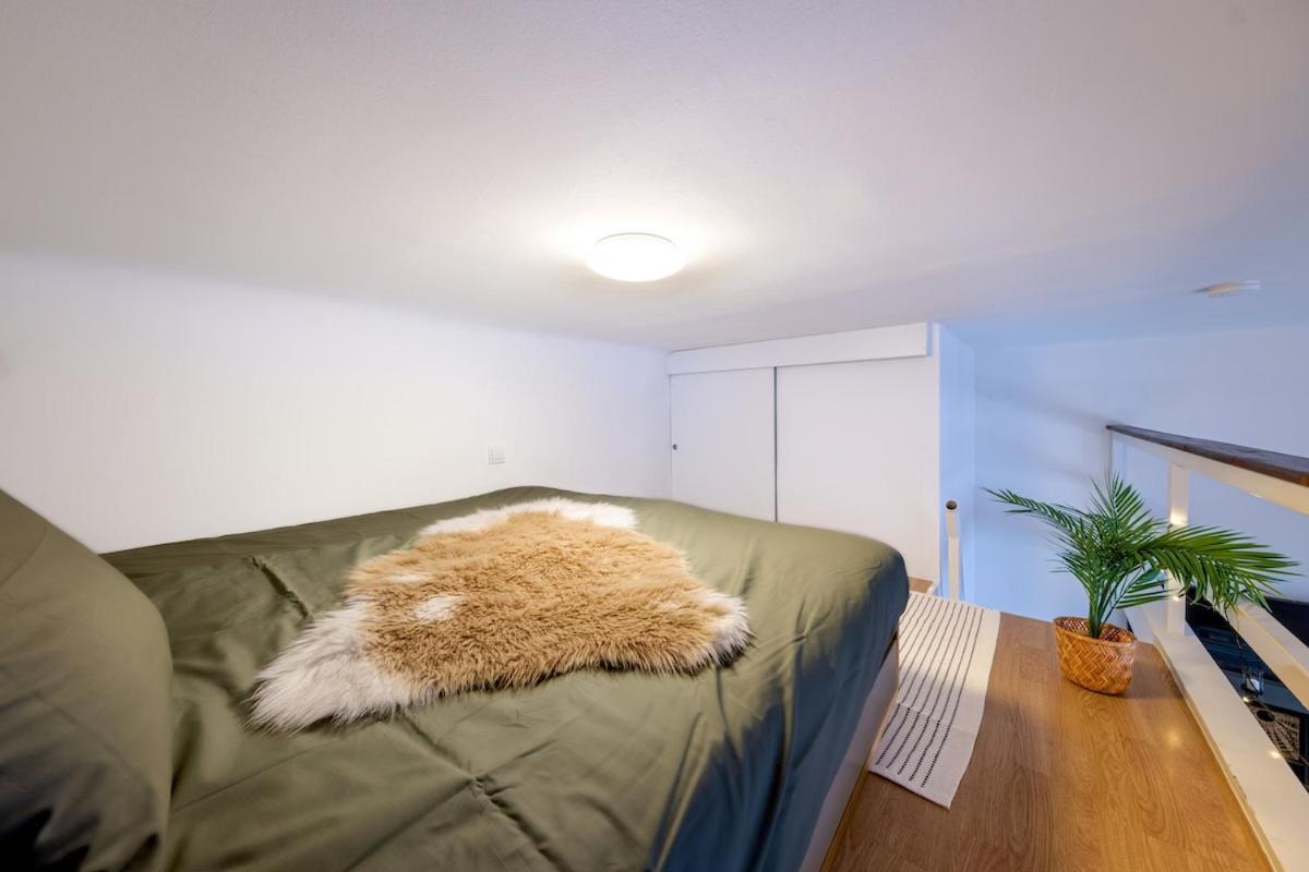 Cosy Major Retreat Apartment